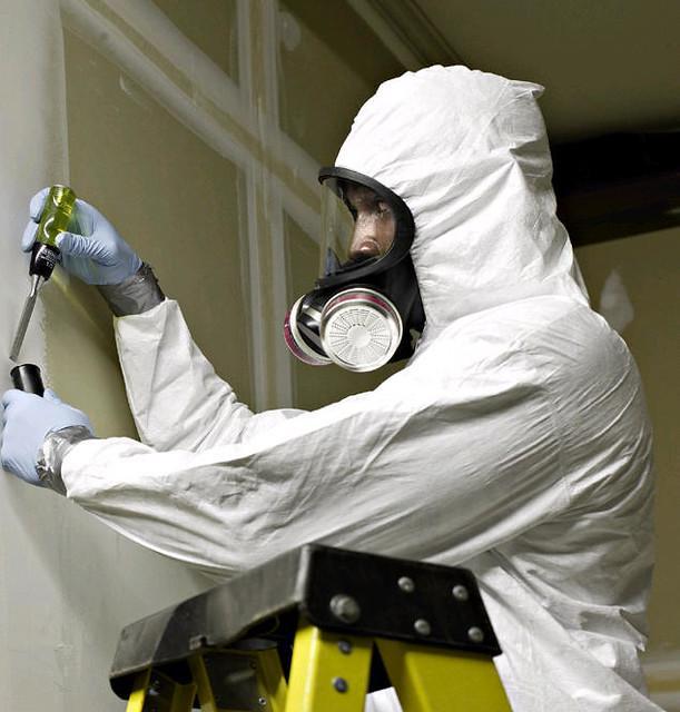 Person performing asbestos removal